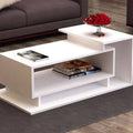 Table - 50 x 100 x 45 cm | V72-B-620