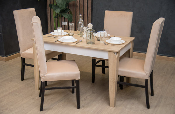 Dining Table - 120 x 80 x 76 cm | HA-DT-245
